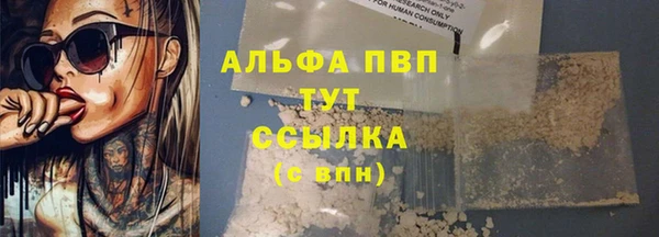 сатива Богородск