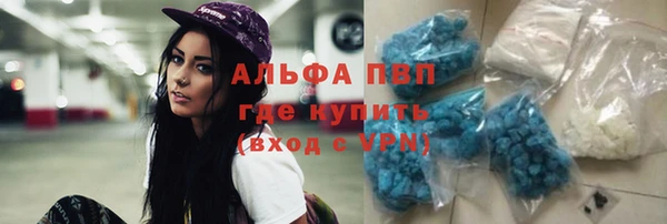 ешки Богданович