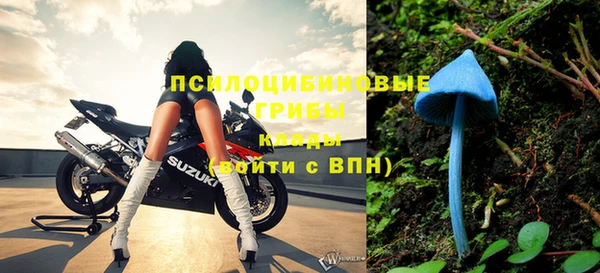 ешки Богданович