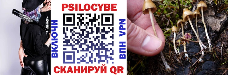 Галлюциногенные грибы GOLDEN TEACHER darknet Telegram Кандалакша