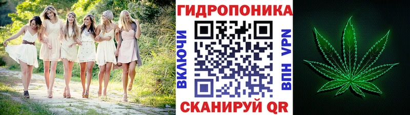 Каннабис Amnesia где купить Кандалакша